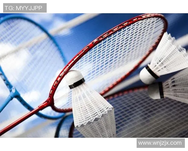 全面评测羽毛球器材性能与适用性助你选择最佳装备提升竞技水平