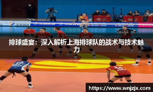 排球盛宴：深入解析上海排球队的战术与技术魅力