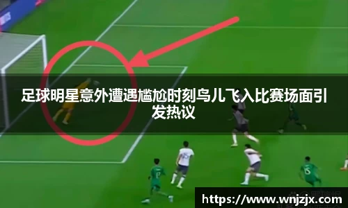 博鱼