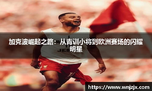 博鱼体育